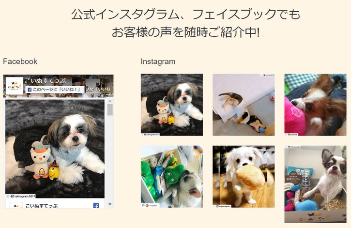 子犬の成長に必要なペット用品の定期便「こいぬすてっぷ」